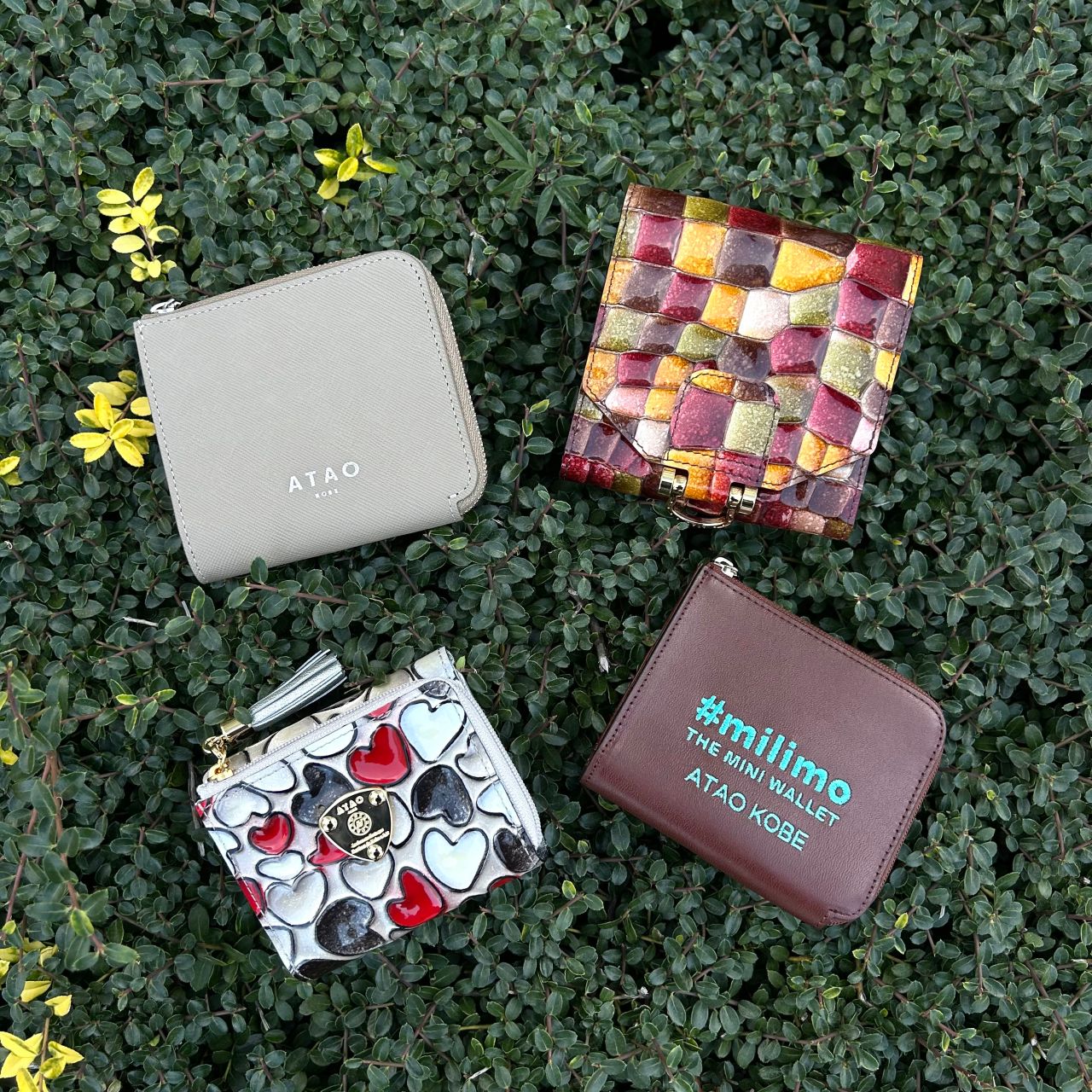 新作！】アタオの折り財布特集 | ATAO(アタオ) | ATAO 有楽町店
