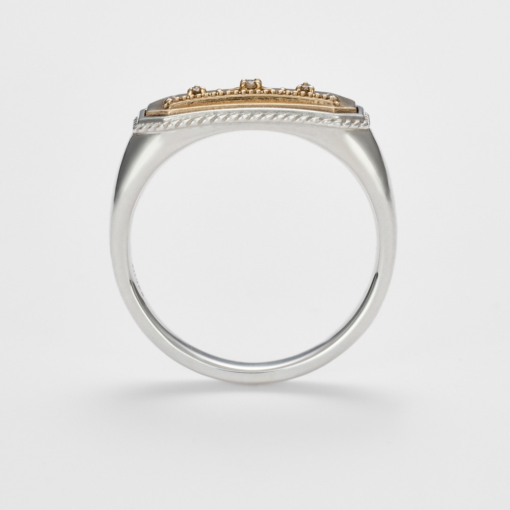 シルバー／K5ダイヤモンドリング《アガット35周年》｜リング｜アガット