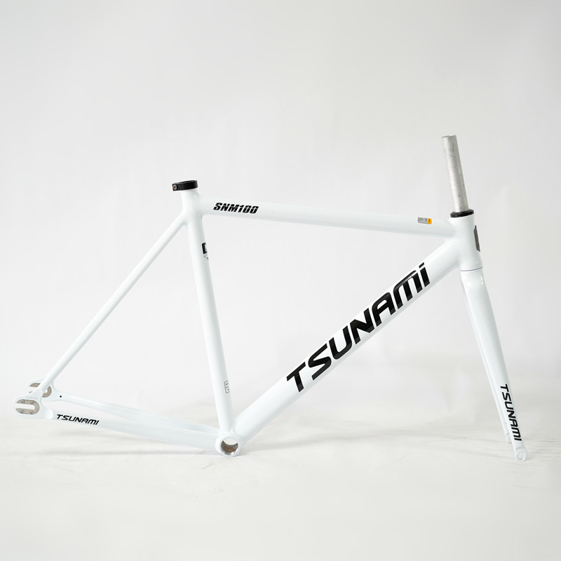 津波 SNM100 フレームセット 700C アルミ固定ギアフレームとフォーク