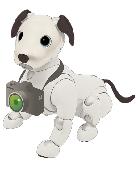 aiboプレミアムプラン | aibo