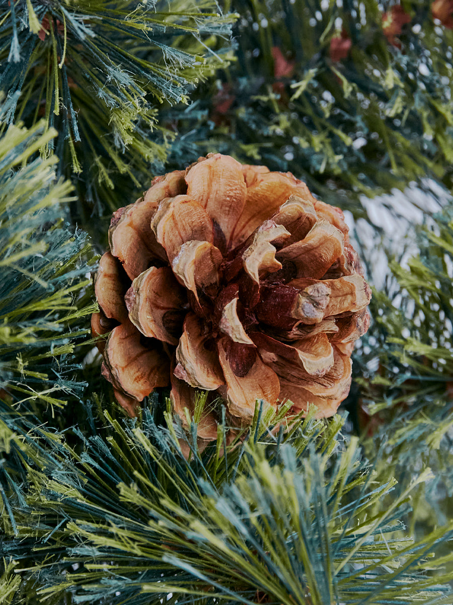 アルザスツリー 樅 – alsace_tree