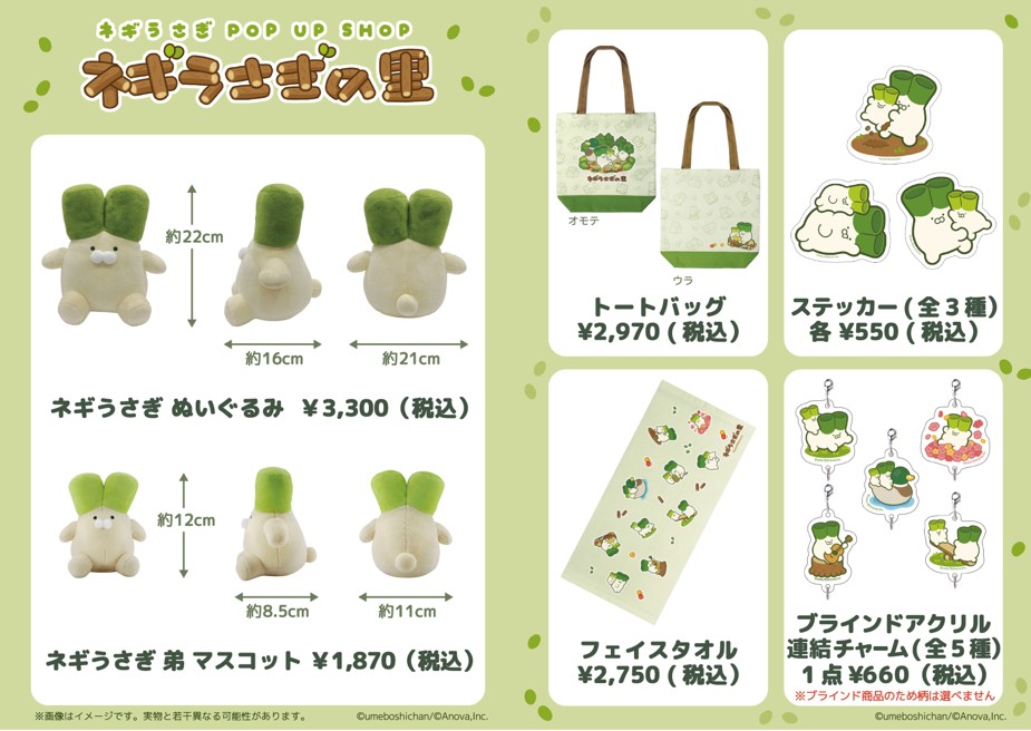 思わずずっと見てしまう可愛いアニメーションが大人気！ SNSフォロワー