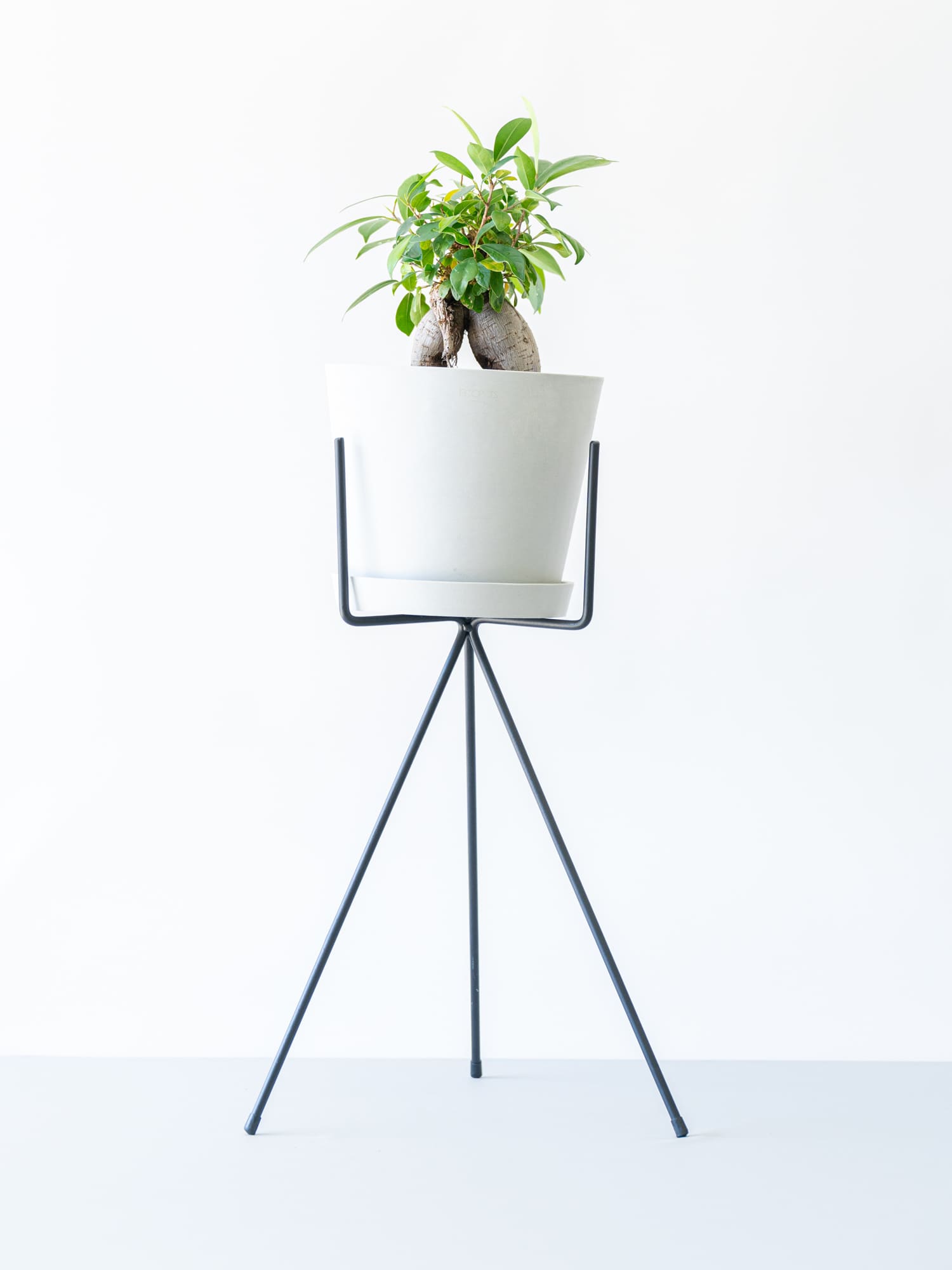 アイアンスタンド・Wide - Black | 観葉植物・お花の通販 AND PLANTS