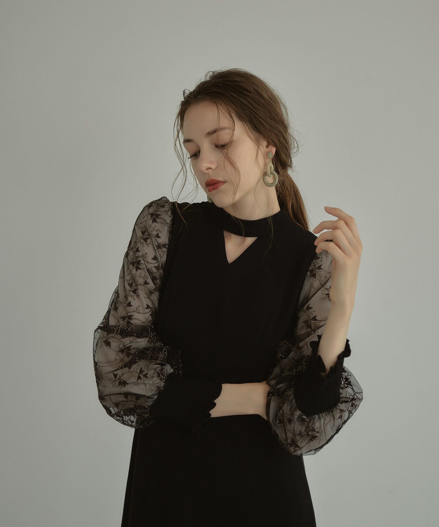 sleeve embroidery dress | ANDRESD