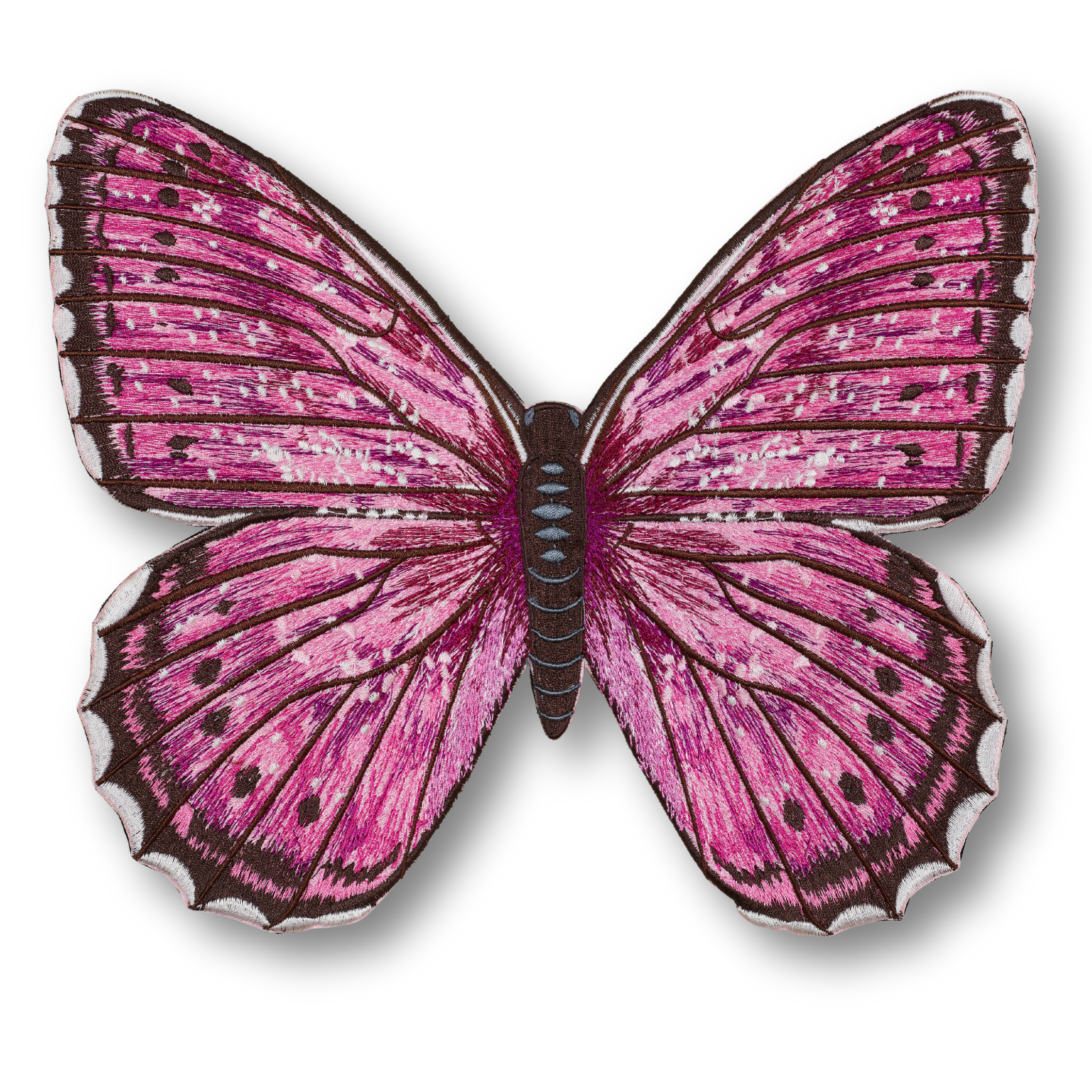 Zebra Swallowtail Butterfly — Anita Goodesign