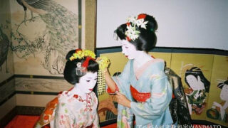 舞妓さんのかんざし｜季節の花かんざし | 変身処案内ANIMATO