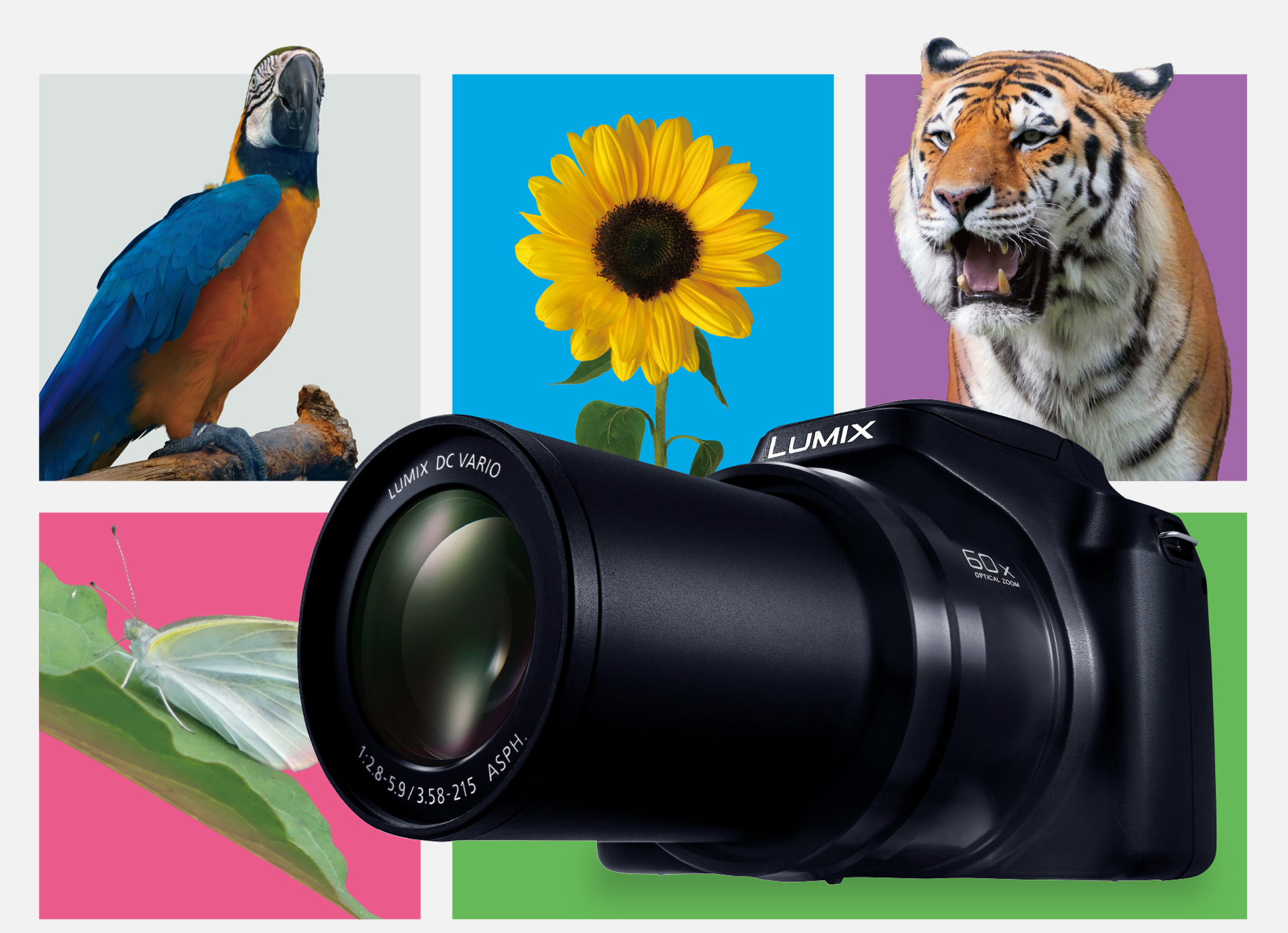 パナソニック LUMIX DC-FZ85D 正式発表 - とるなら