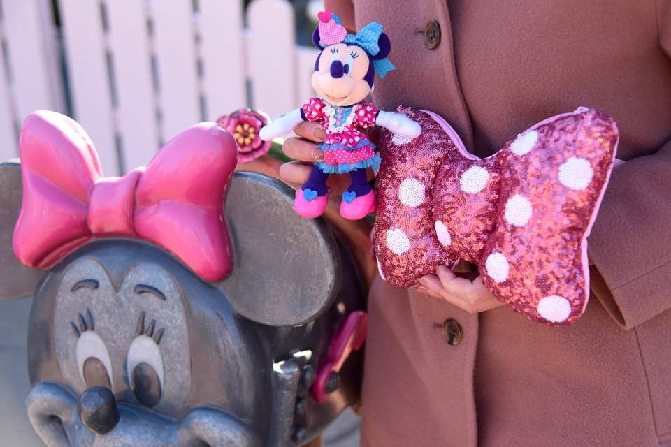 ミニー パルパルーザ ショルダーバッグ ミニーファンダーランド