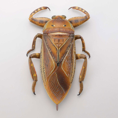 ヤゴを捉えた瞬間も再現可能！ 海洋堂が手掛ける「タガメ」の