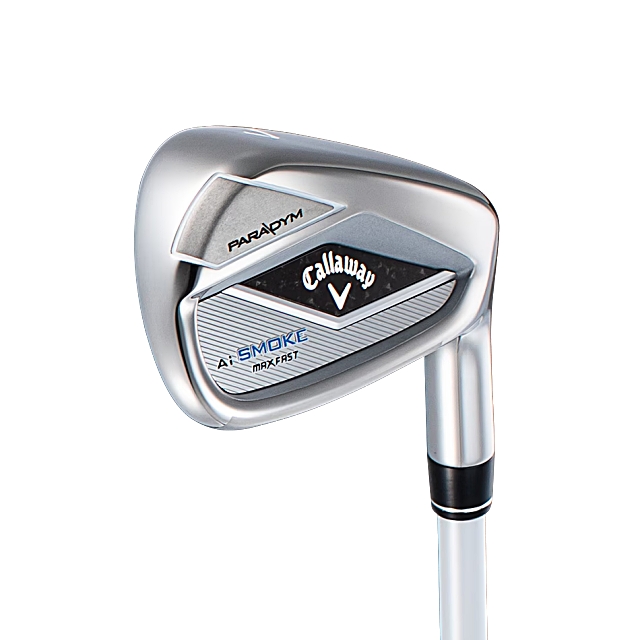 パラダイム Ai スモーク MAX ファスト／PARADYM Ai SMOKE MAX FAST