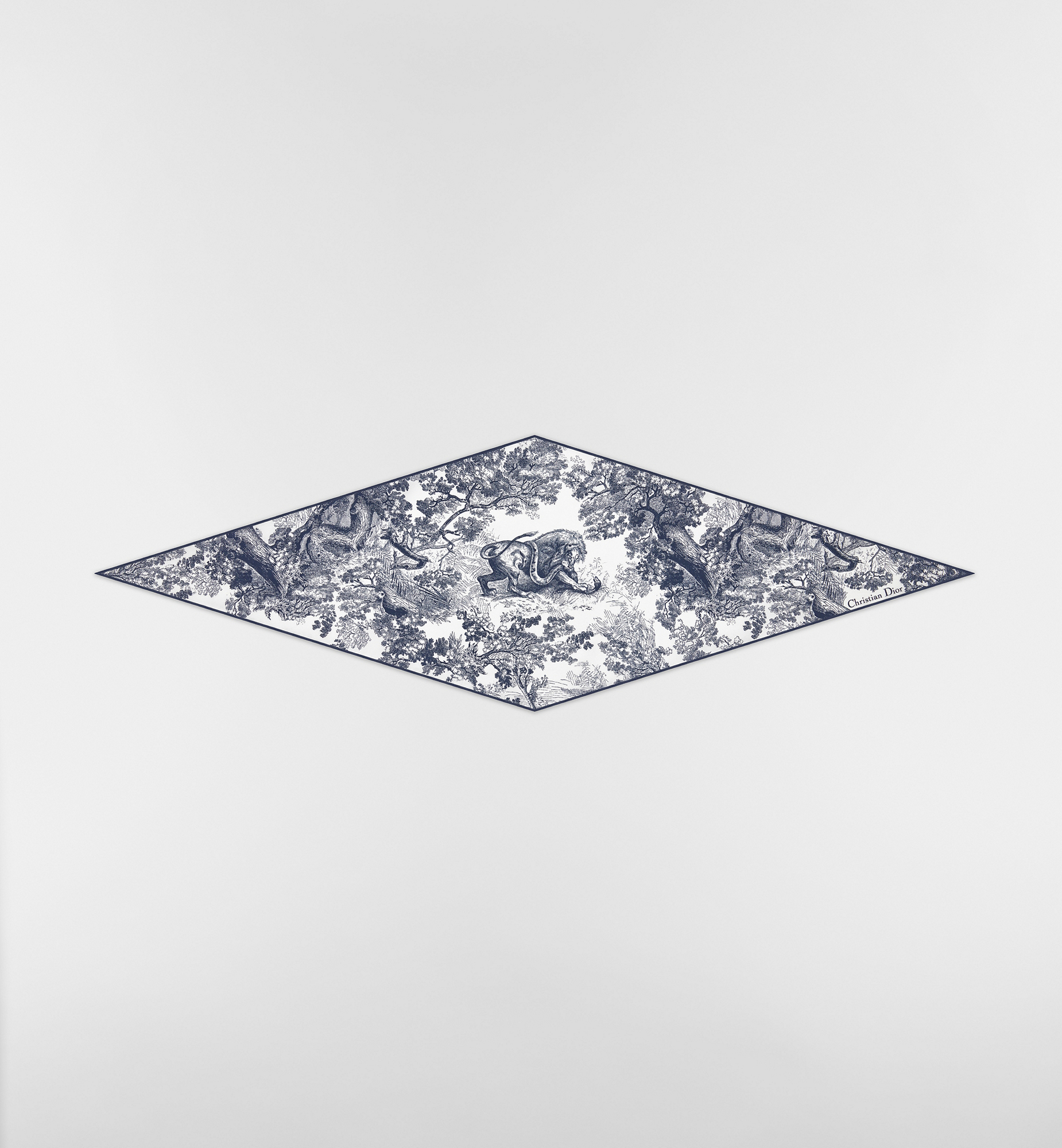 DIOR | Dior Diamond スカーフ トワル ドゥ ジュイ ソヴァージュ