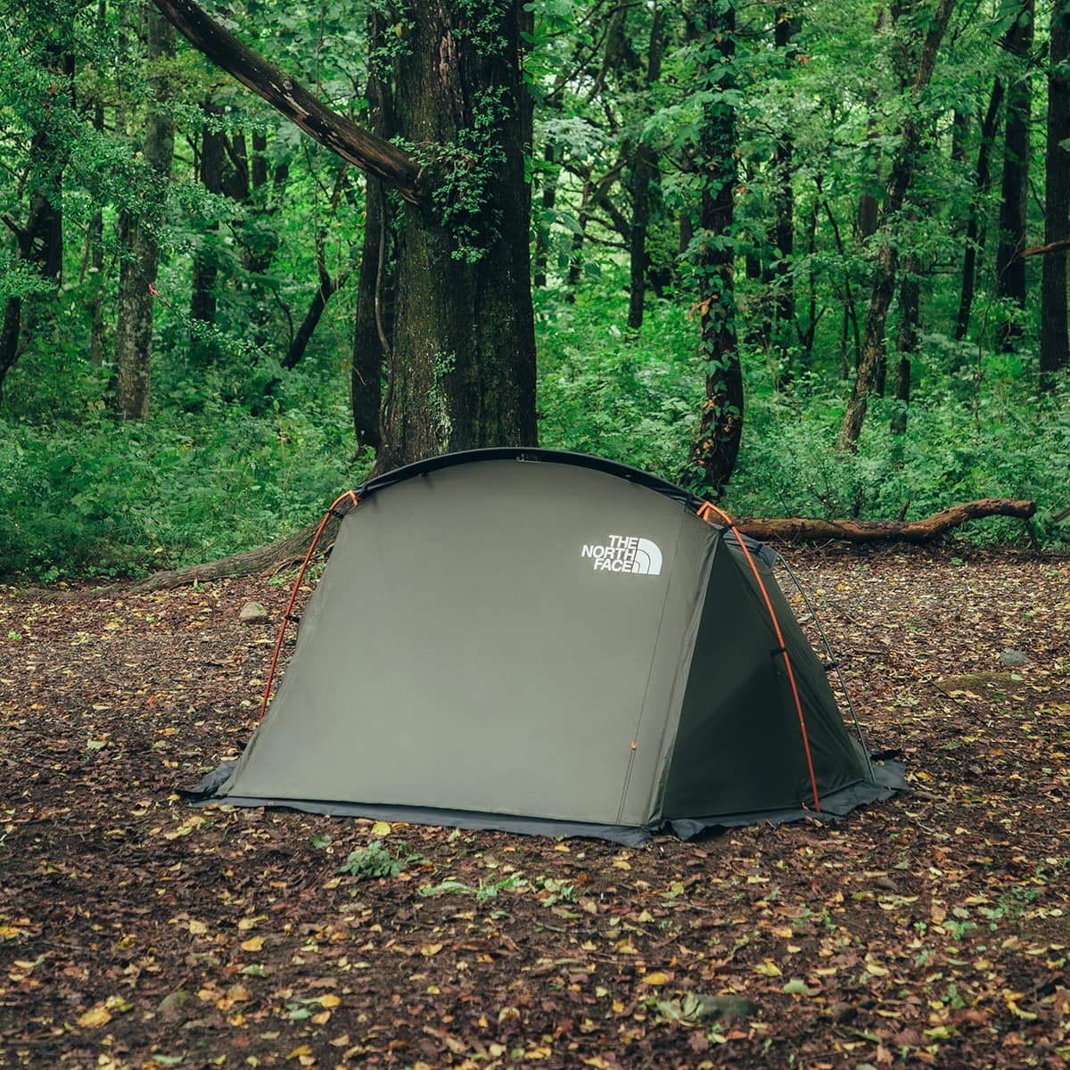 THE NORTH FACE EVACARGO 2 NEWTAUPE 21FW-I（ザ・ノース・フェイス