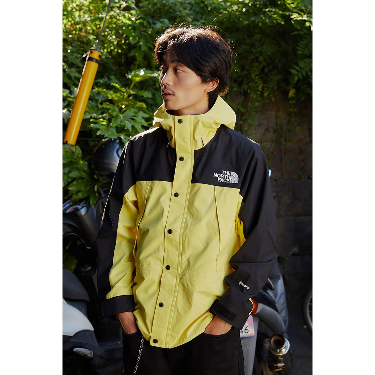 THE NORTH FACE MOUNTAIN LIGHT JACKET イエローテール（ザ・ノース