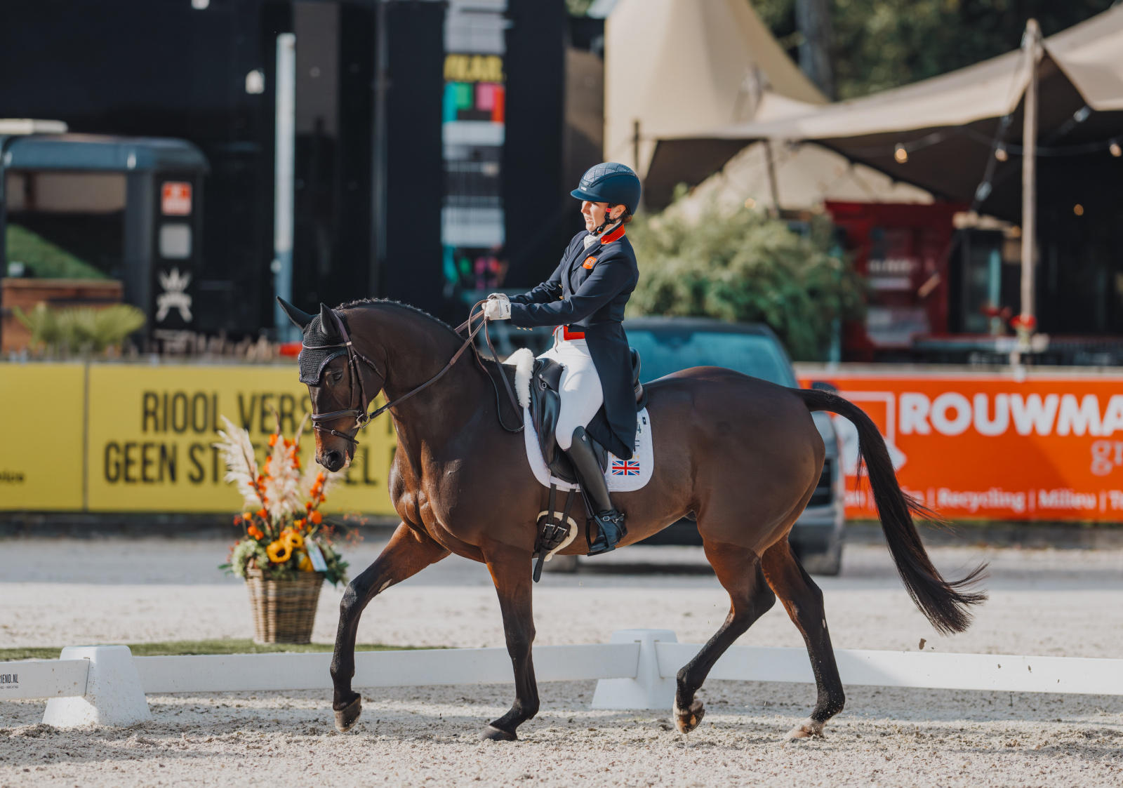 Laura Collett Takes Boekelo Dressage Lead on Rising Star New Ride