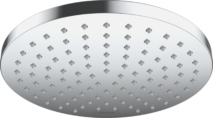 hansgrohe Showerheads: Vernis Blend, 1 spray mode, Art. no. 26277001