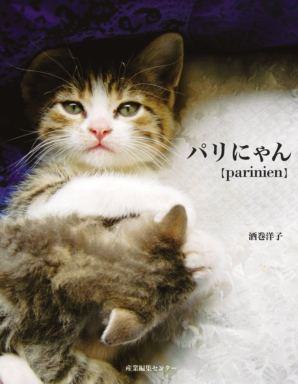 A2サイズ（約42x59cm）lh-poster-7060Wildebeest 【A3サイズ（約30