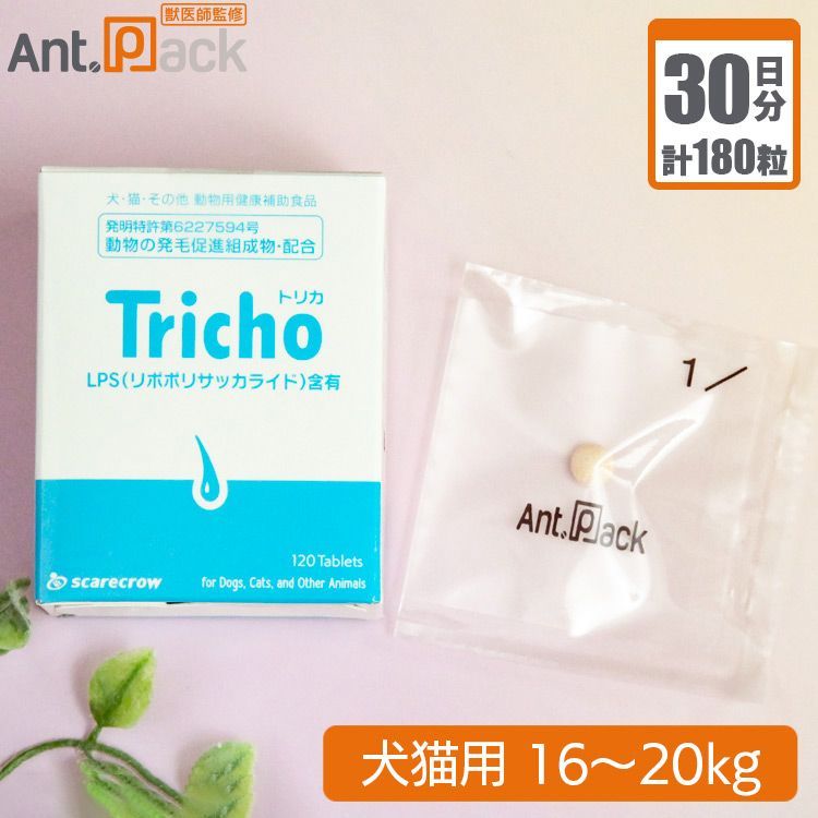 ショップ 新品✧Clarks 本革レザー プレーンパンプス【フォーマル