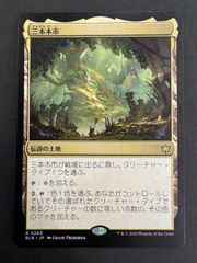 MTG 豊かな在郷 英語版 拡張アート 4枚 ECC ローウィンの昏明統率者