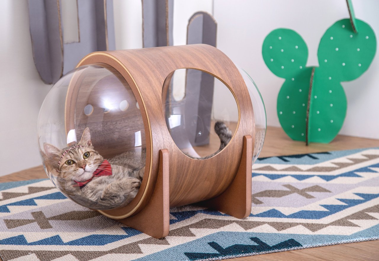 まるで宇宙船！？猫ちゃんのためのおしゃれな木製ベッド 〈 MYZOO