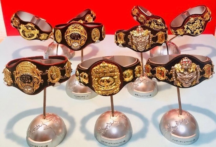 完売】これぞ王道の証！『全日本プロレス チャンピオンベルト1/6