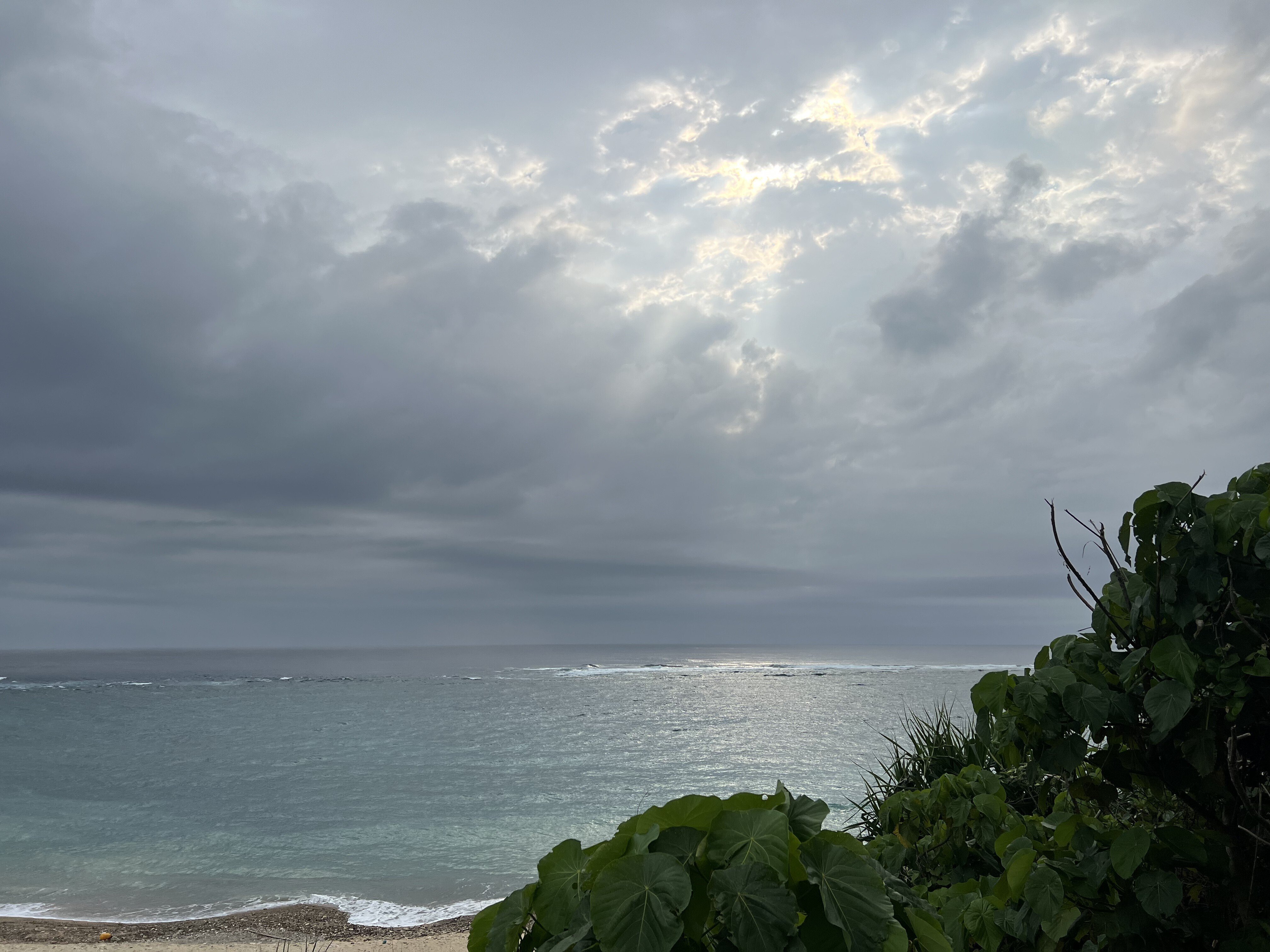 ゆるっと本気の全捨離はじめました｜ゆるしゃりこ