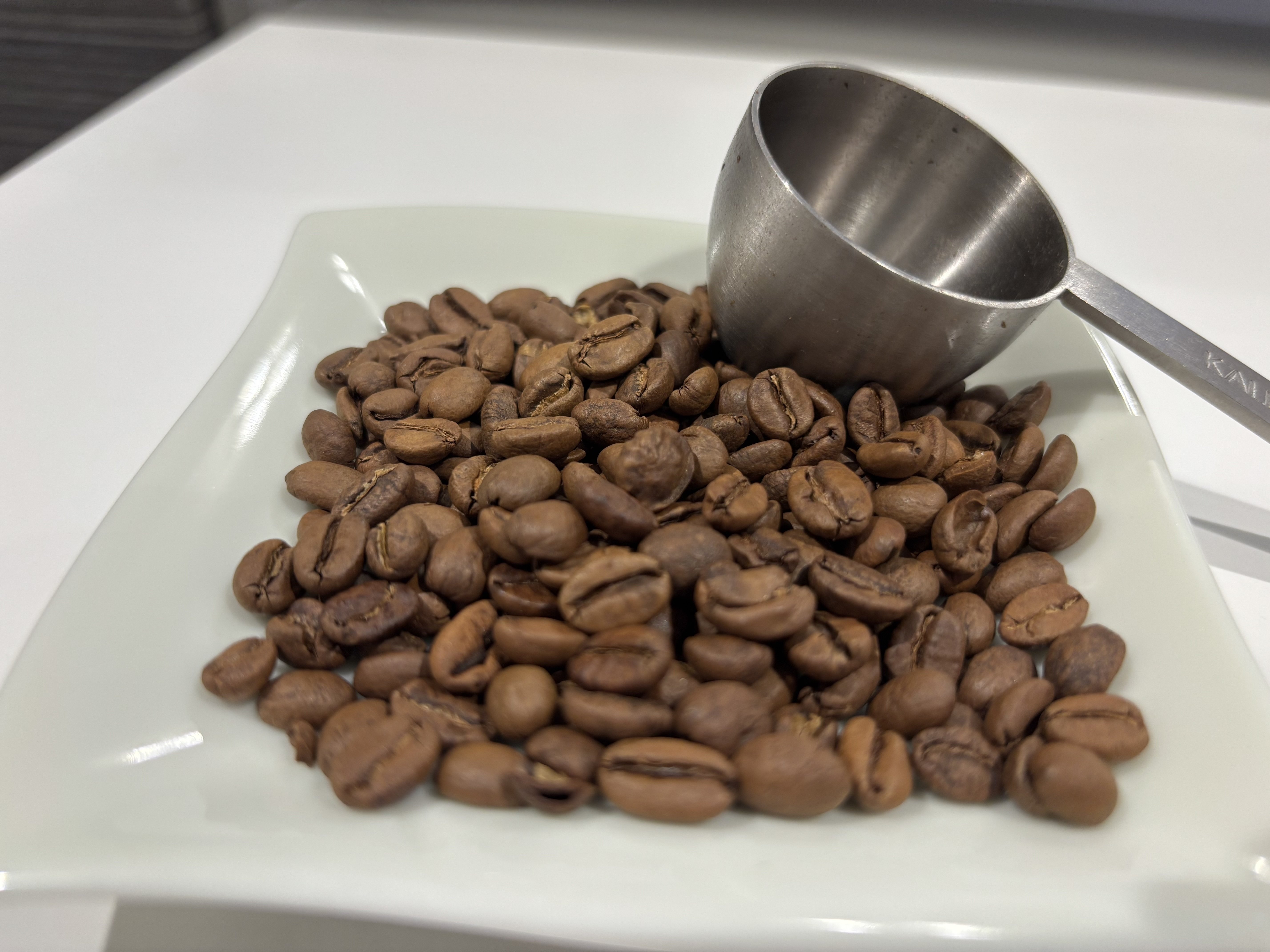 EXPOで偶然出会ったサウジアラビアのコーヒー｜こくさっきー｜忙しい人