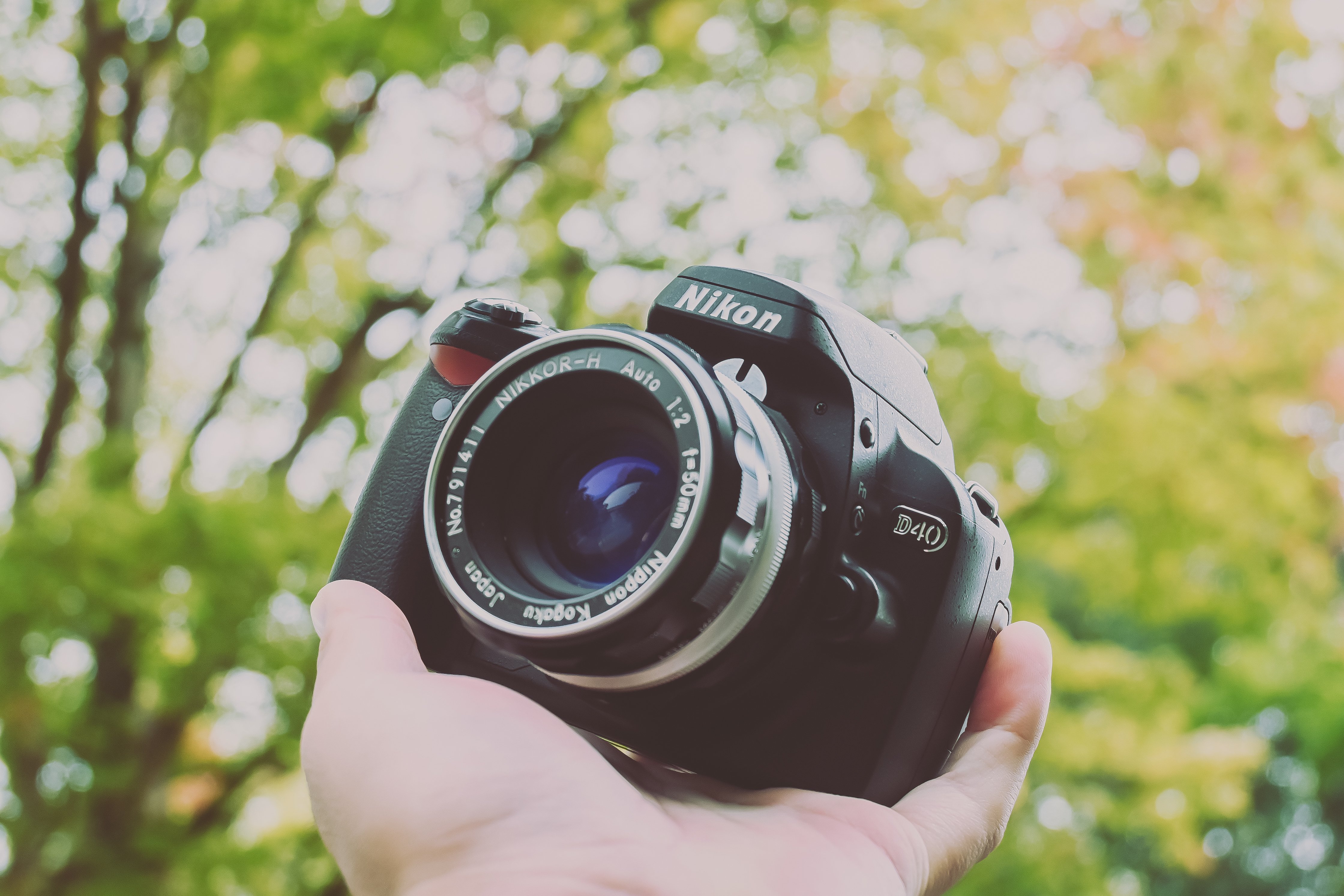 MNG!】Nikon D40をお迎え｜もんぶらん