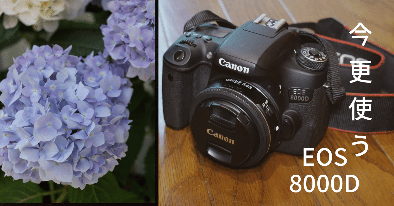 今更使うEOS 8000D｜花見川