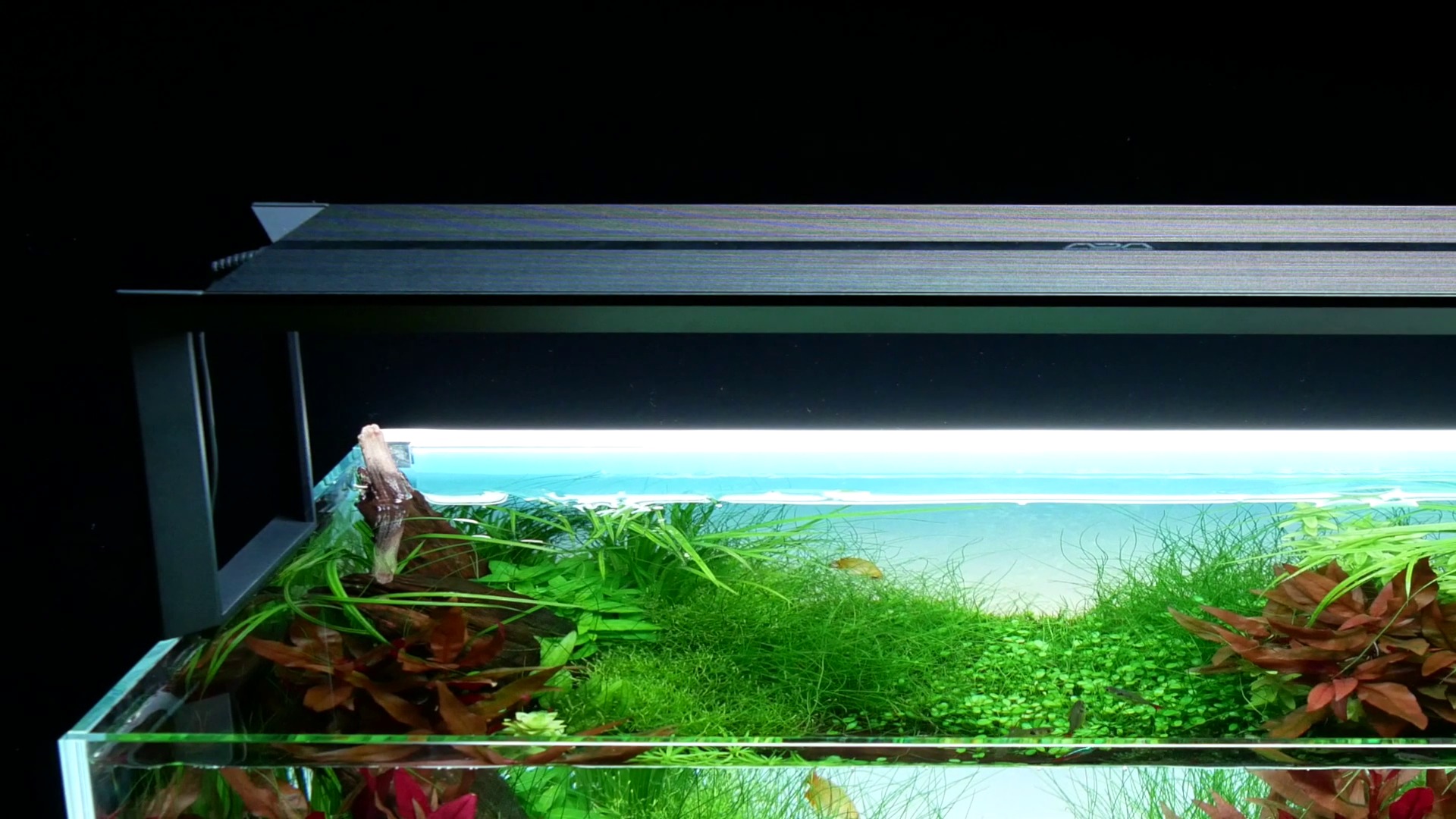 ADA アクアスカイRGB 60 売り切れだった件と明るさ(ルーメン)について