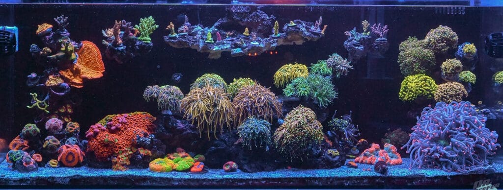 Components Strong - Aquaforest