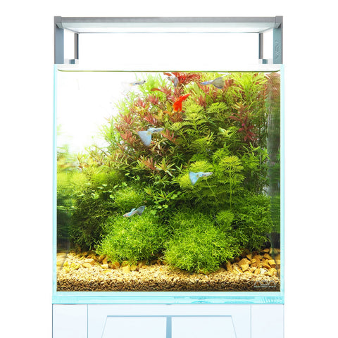 ADA AQUASKY RGB Basic 300 LED Lighting System (36W) – Aqua Forest