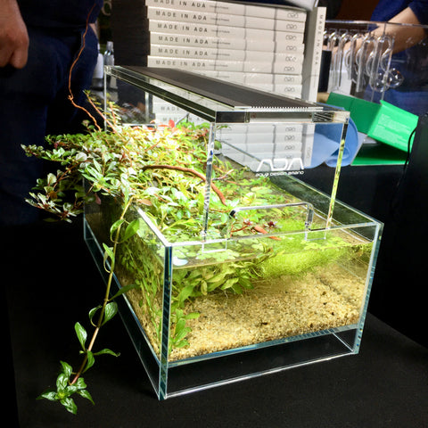 DOOA NEO GLASS AIR W30×D18×H12cm – Aqua Forest Aquarium