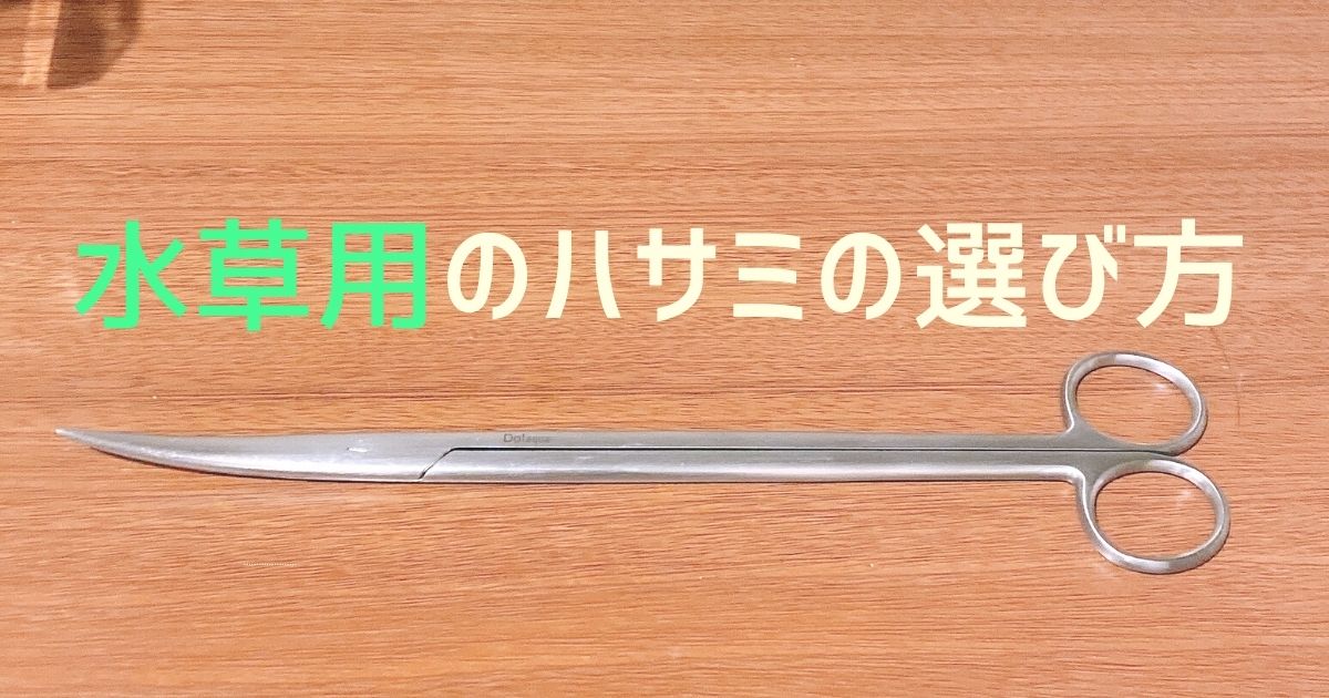 最初の1本でも失敗しない水草用ハサミ選びのポイントは2つだけ - あ