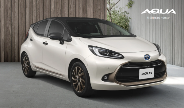 アクア Z Raffineのスタッドレスタイヤ購入ガイド！195/55R16の選び方