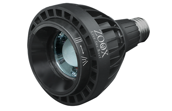 レイズ｜ZOOX｜MMC企画 レッドシー事業部