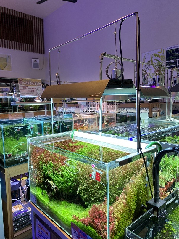 最強性能の吊り下げ照明】VIVID2が欲しくなる7つのおすすめ理由