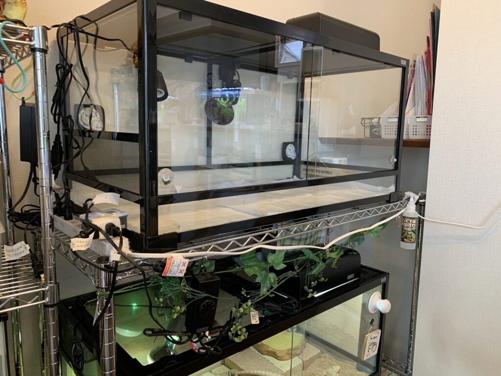 フトアゴヒゲトカゲのケージの選び方【おすすめのケージ2選】 | あく