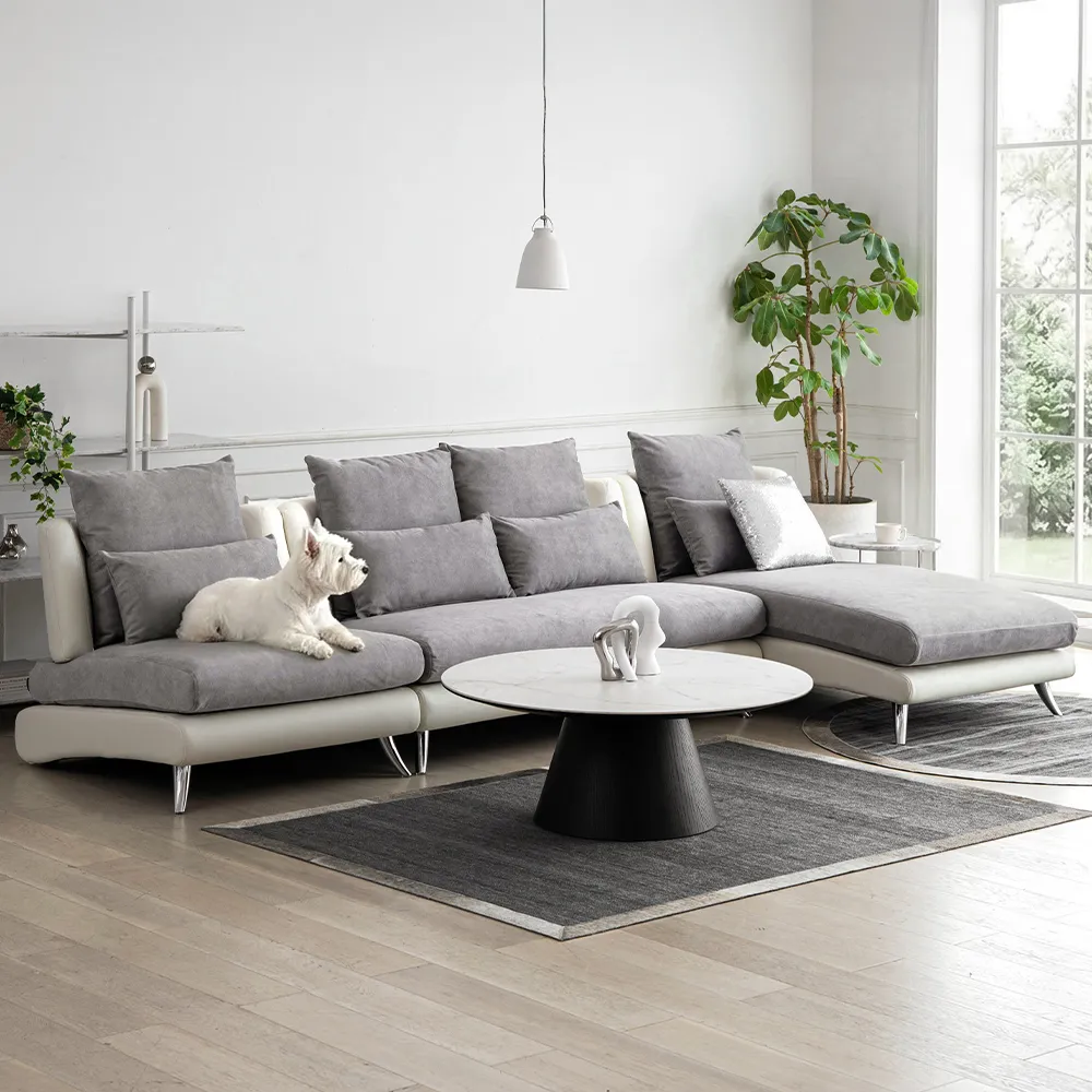 Bella curva フルセット コンパクト／レギュラー／ラージ