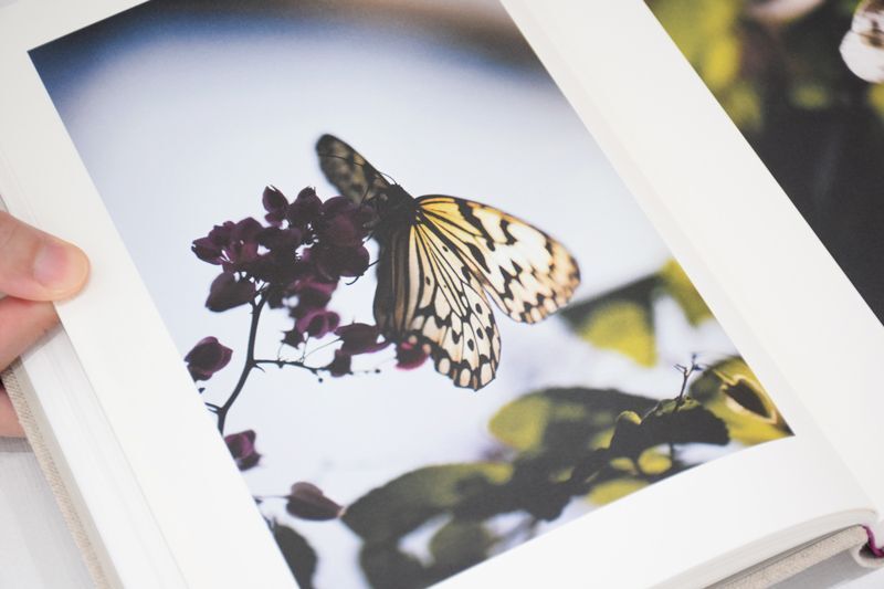 KANON / 山上新平 ON READING Online Shop