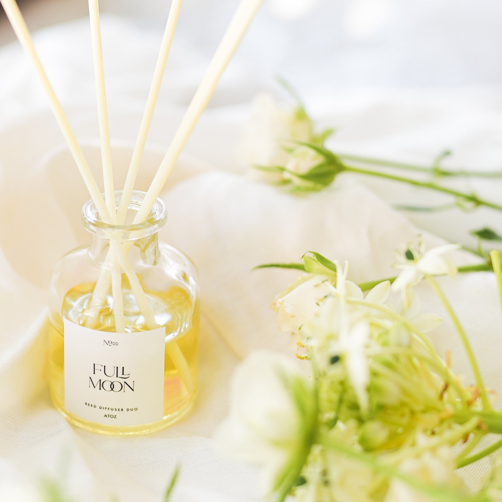 FULLMOON HARMONY SET – ATOZ