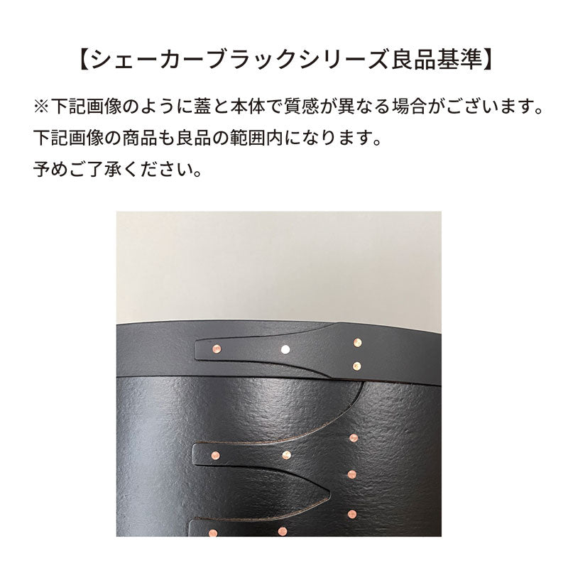 シェーカーオーバルボックス | AXCIS ONLINE