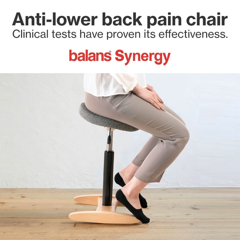 Chair for Lower Back Pain Prevention|balans Synergy balans lab