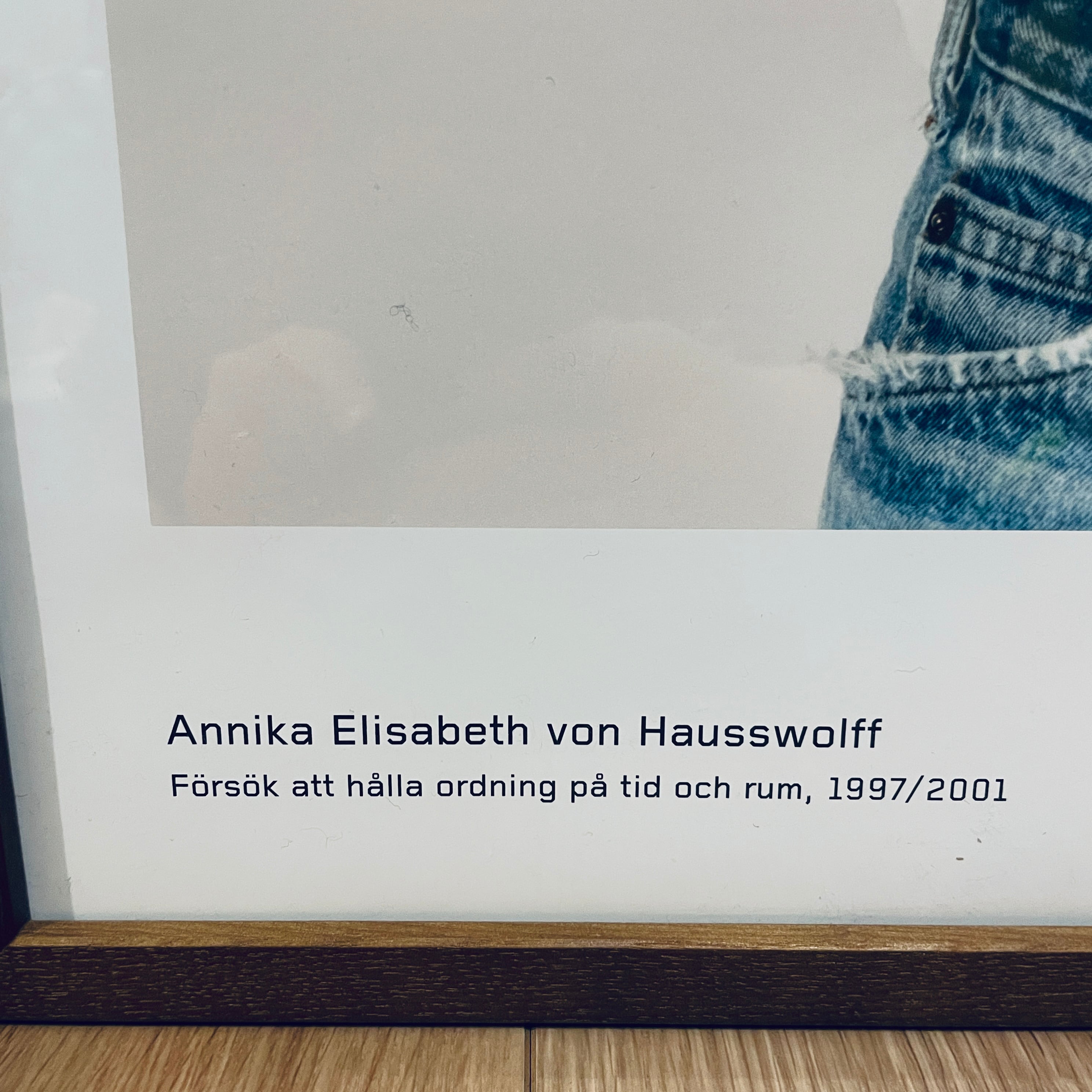 スウェーデン限定】アニカ・エリザベス・フォン・ハウスヴォルフ 展覧