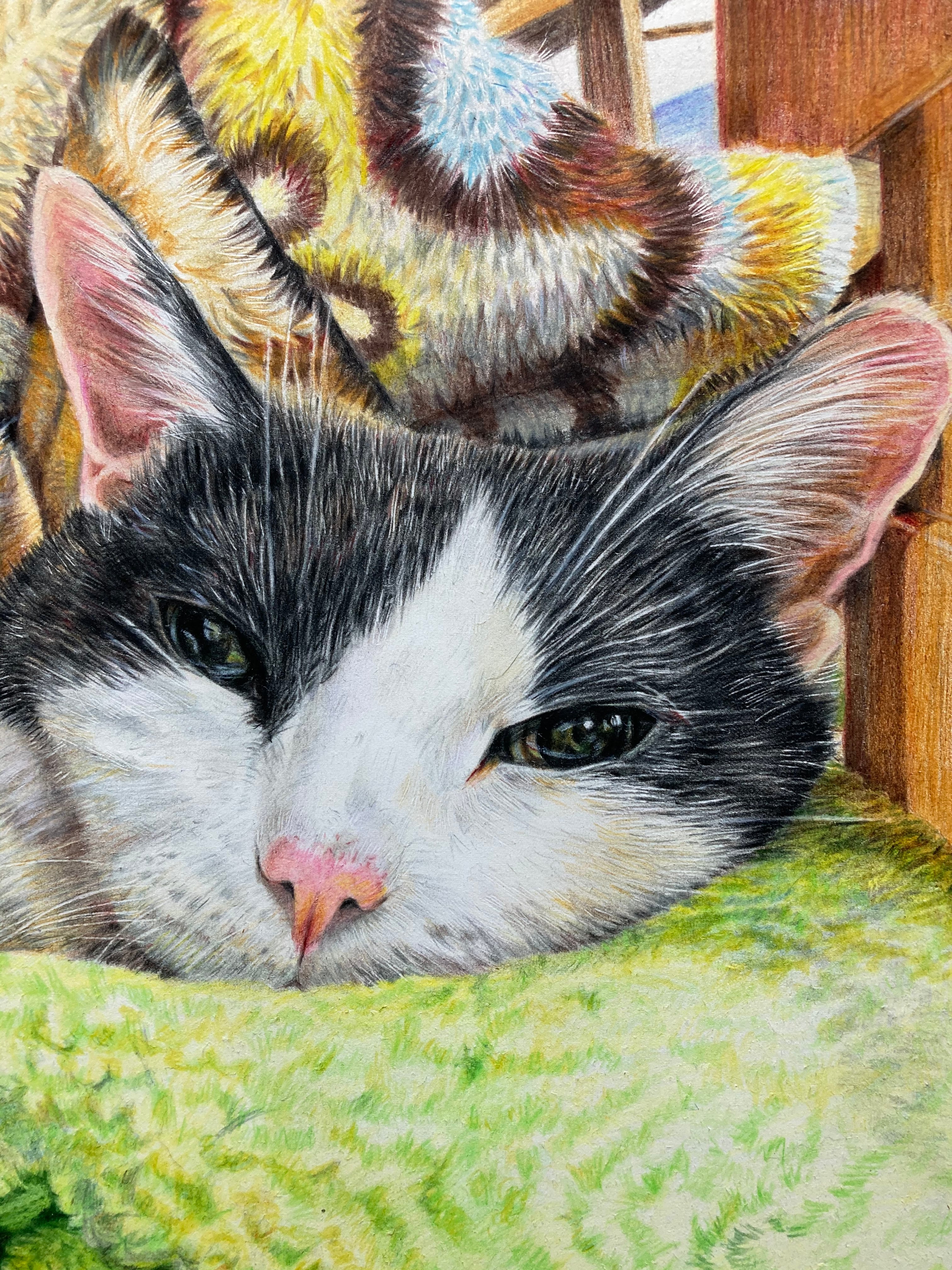 オーダーメイド色鉛筆画(A4サイズ) | ペットの肖像画屋さん