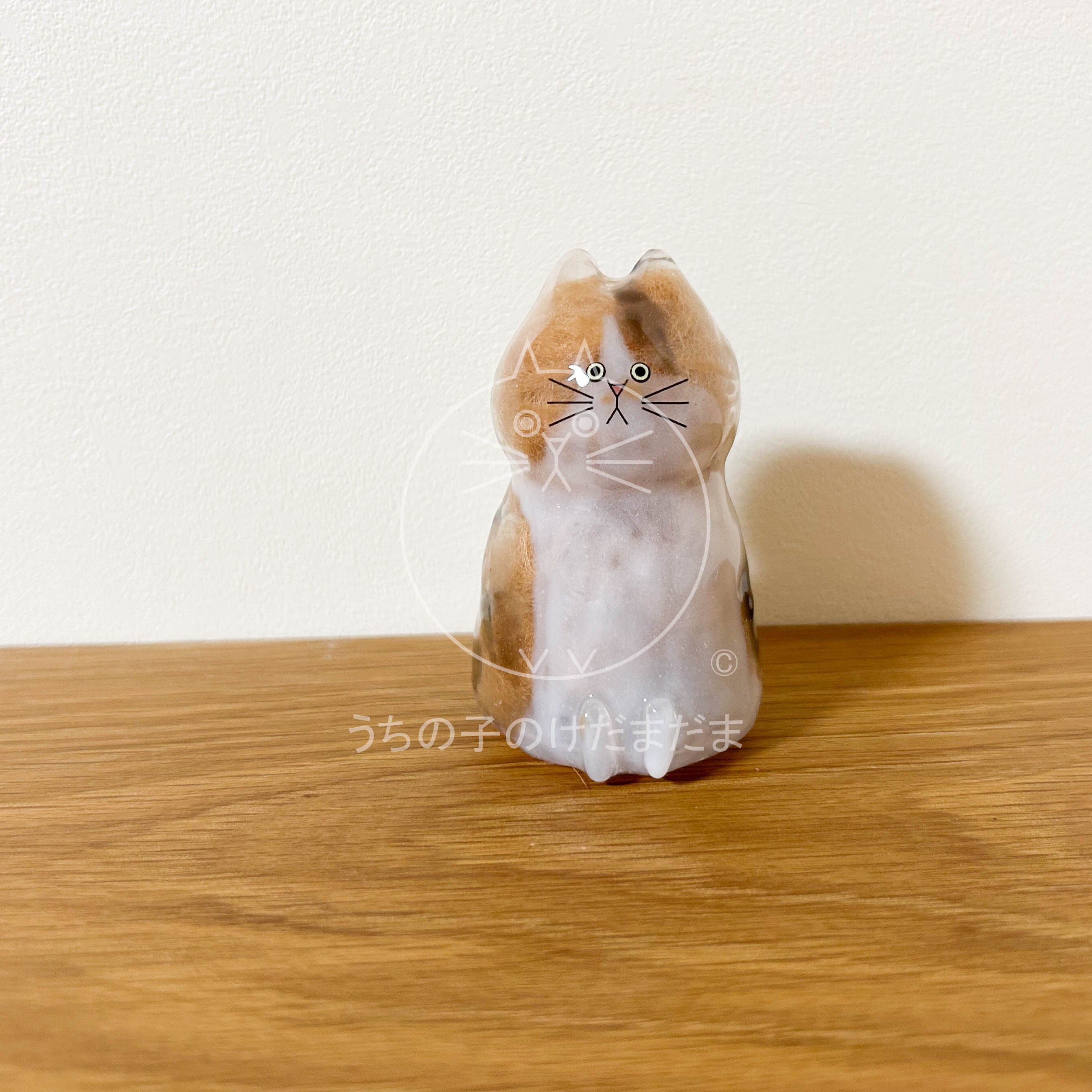 猫 | うちの子のけだまだま