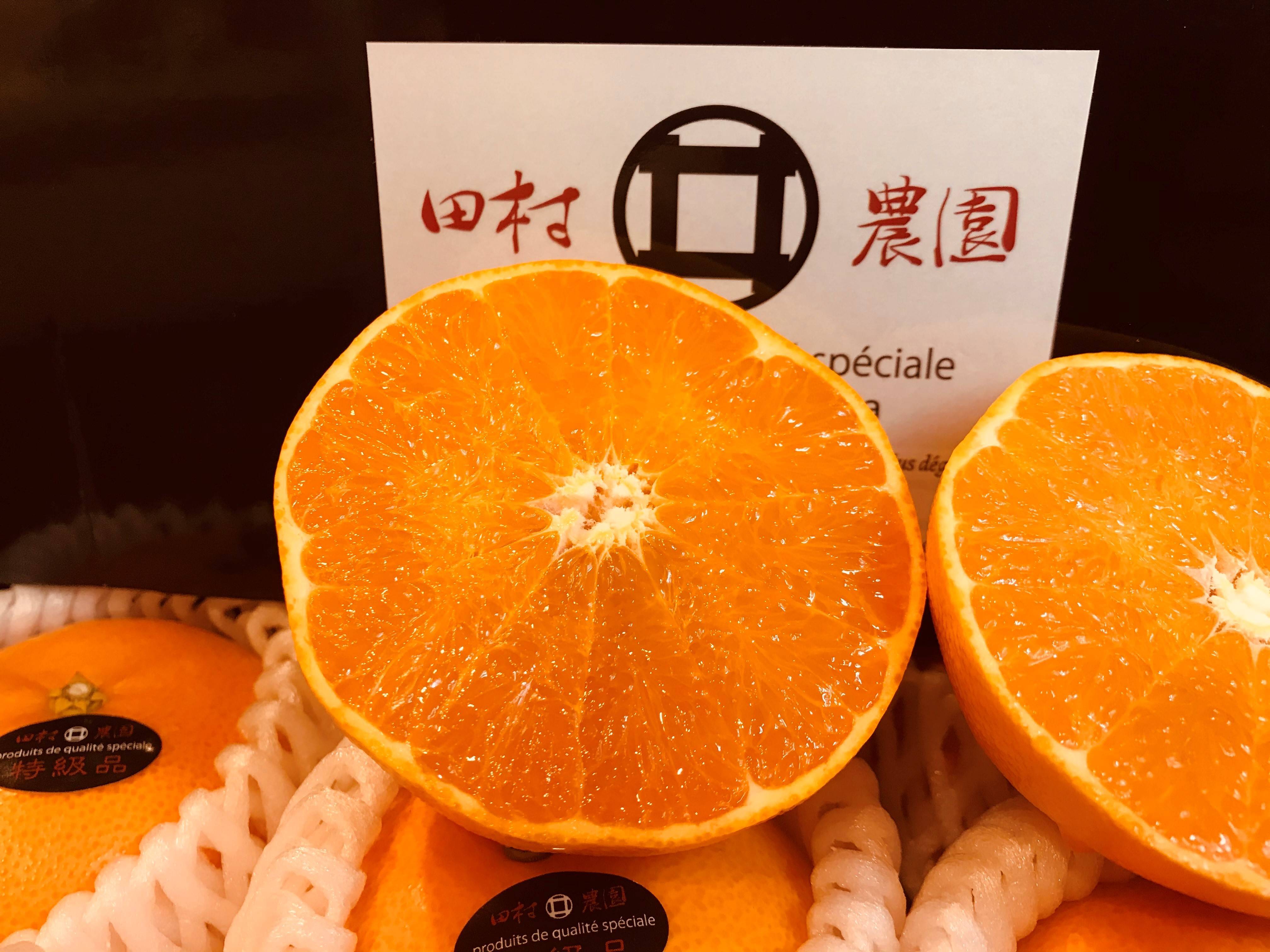 せとか特級品（4.5kg）15玉～20玉 | みかんの島ー田村農園 (えひめ