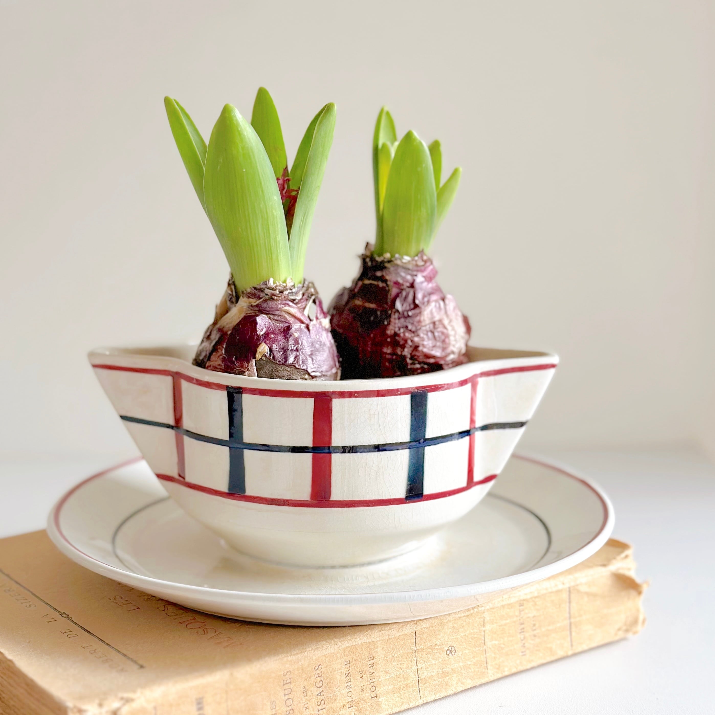 St-Amand サンタマン ソーシエール バスクモチーフ（フランス） | ぽわ