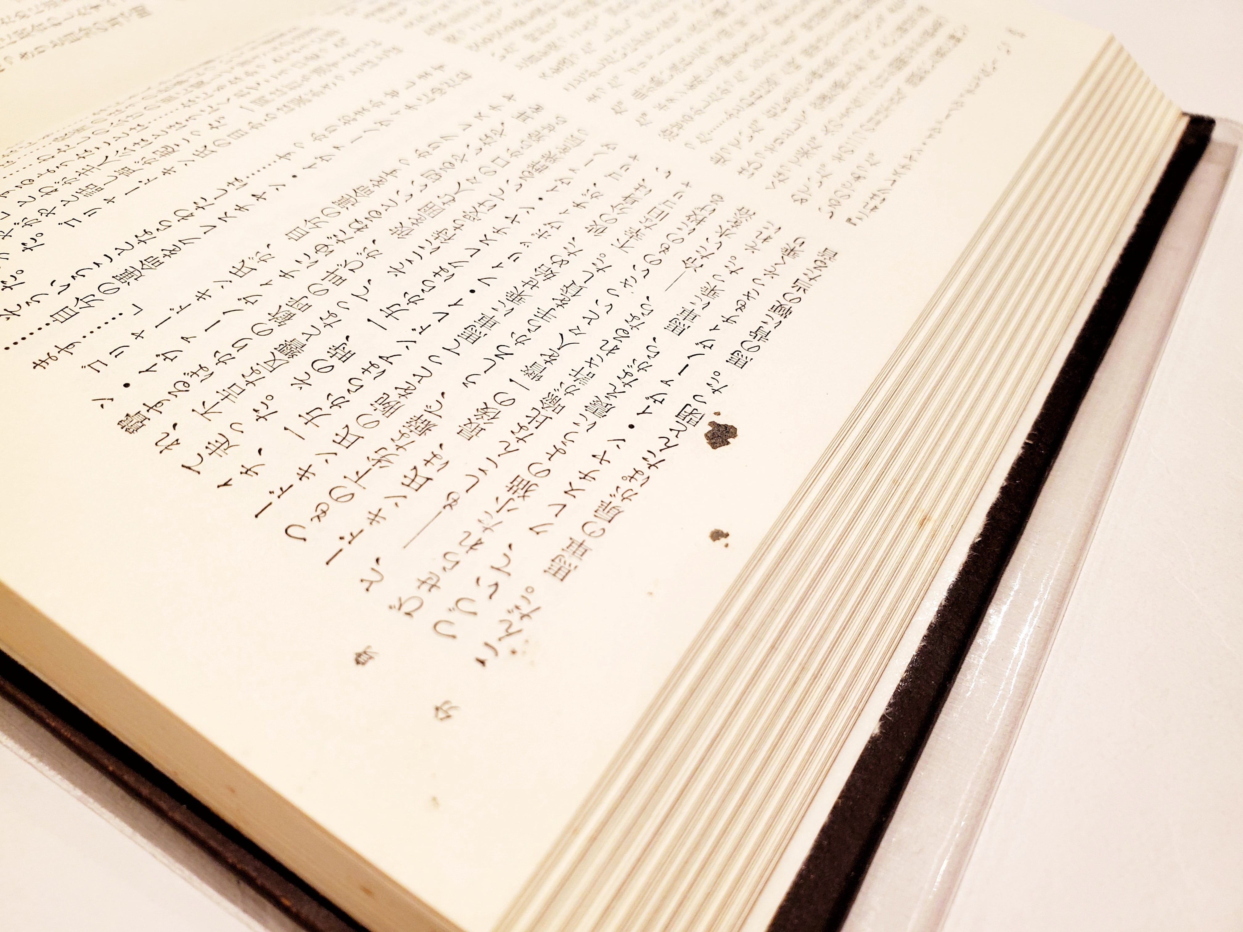 36110a62e20eb25e5088099e07681a