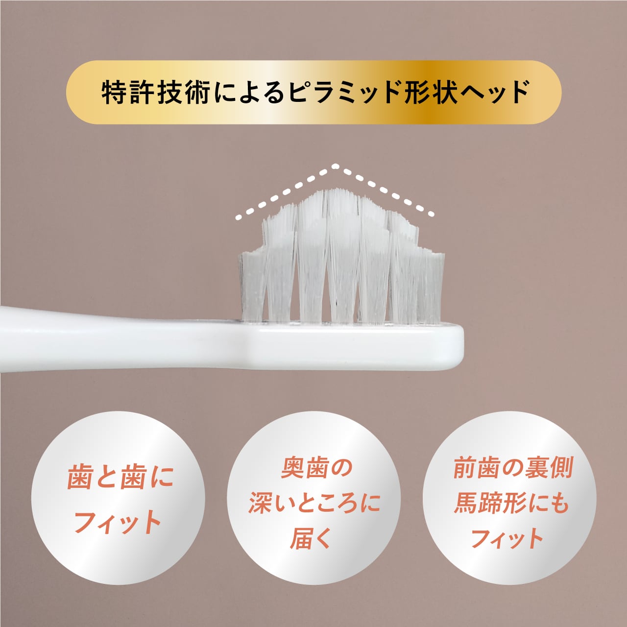 電動セット 〈奇跡の歯ブラシ ソニック〉 本体＋交換用ヘッド5本セット