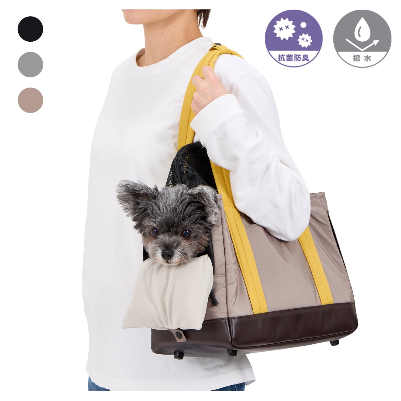 b1ce96456f3882b5774303476f7423